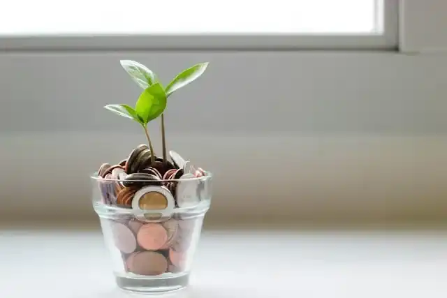 A sapling growing out of a pile of change, representing financial growth