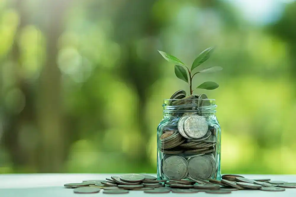 A plant growing in a jar of coins representing ethical investing