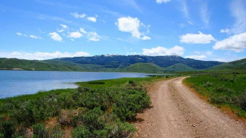 Irish Point campsite walking trail