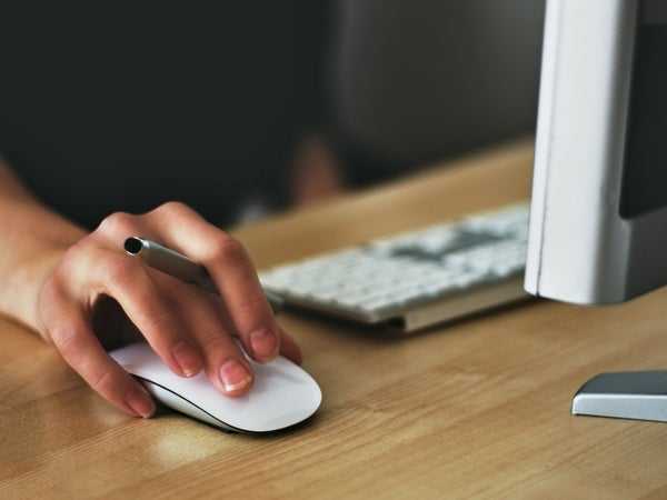 woman searching for a new job on the computer