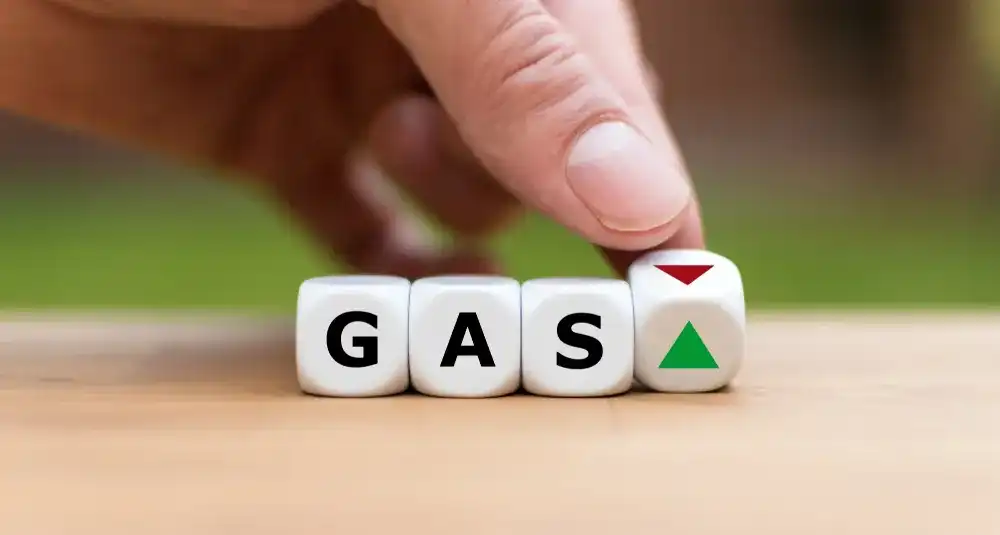 Gas Rebate Check Guide Image 2 | Cash Store