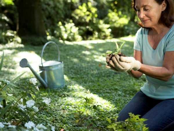 Woman gardening in her backyard 