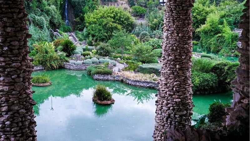 The Coi Pond in the Japanese Tea Garden in San Antonio, Texas.