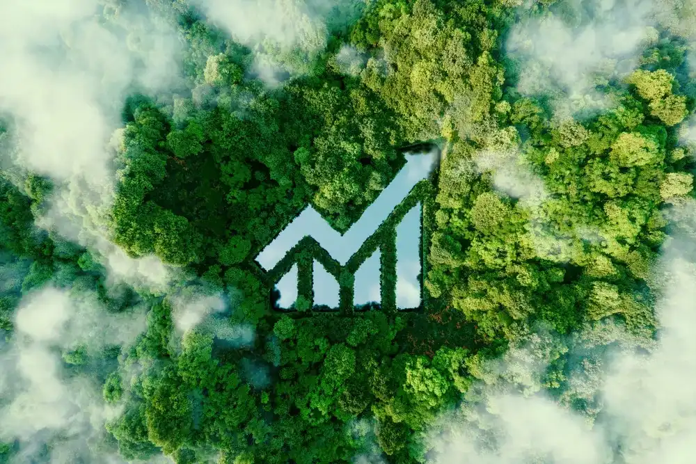 A graph etched into a forest representing impact investing