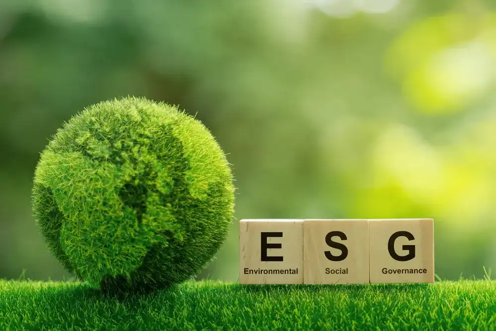 A ball of moss next to blocks that read "Environmental, Social, Governance"