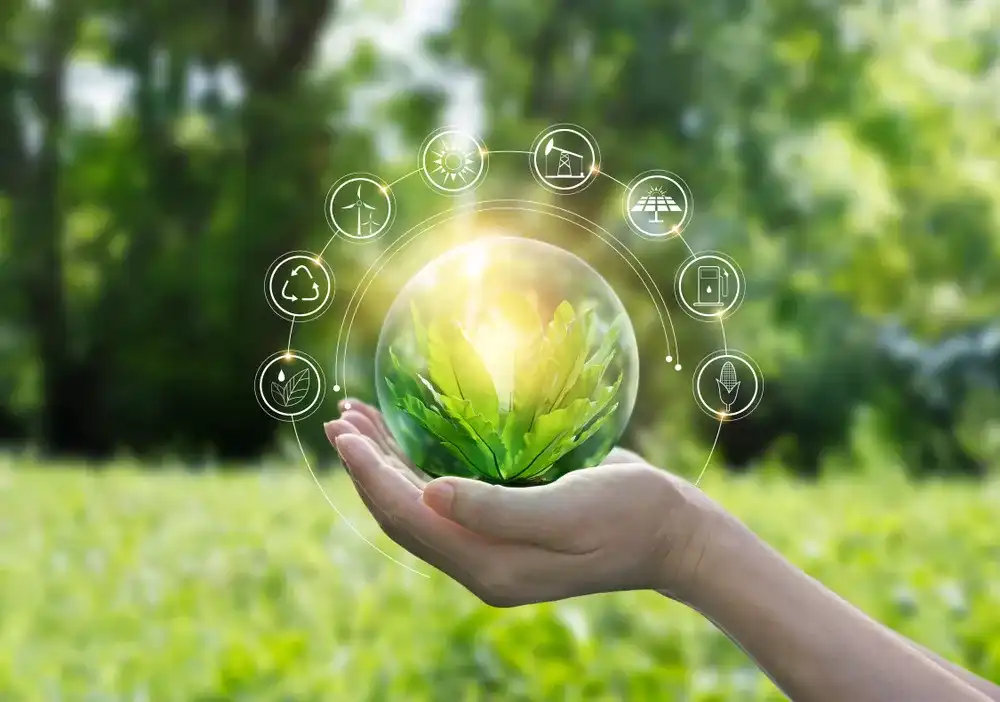 A hand holding a plant with renewable energy investment options surrounding it