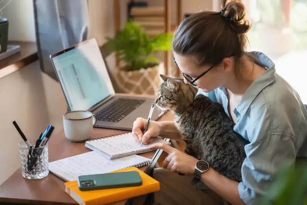 Adapting to the Evolution: The Future of Work, Remote Jobs, Gig Economy, and Financial Planning Image 1 | Cash Store